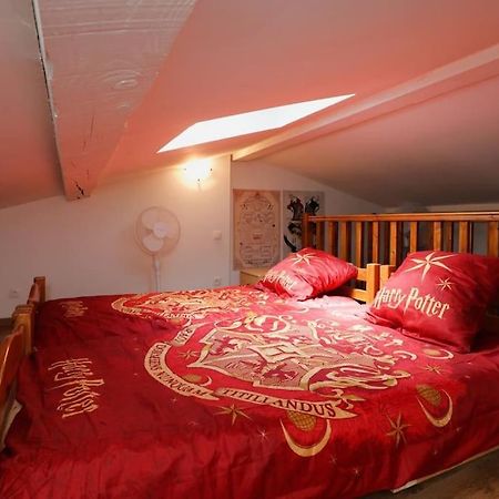 Harry Potter - Le Logis Du Petit Sorcier - Clim Lägenhet Carcassonne Exteriör bild